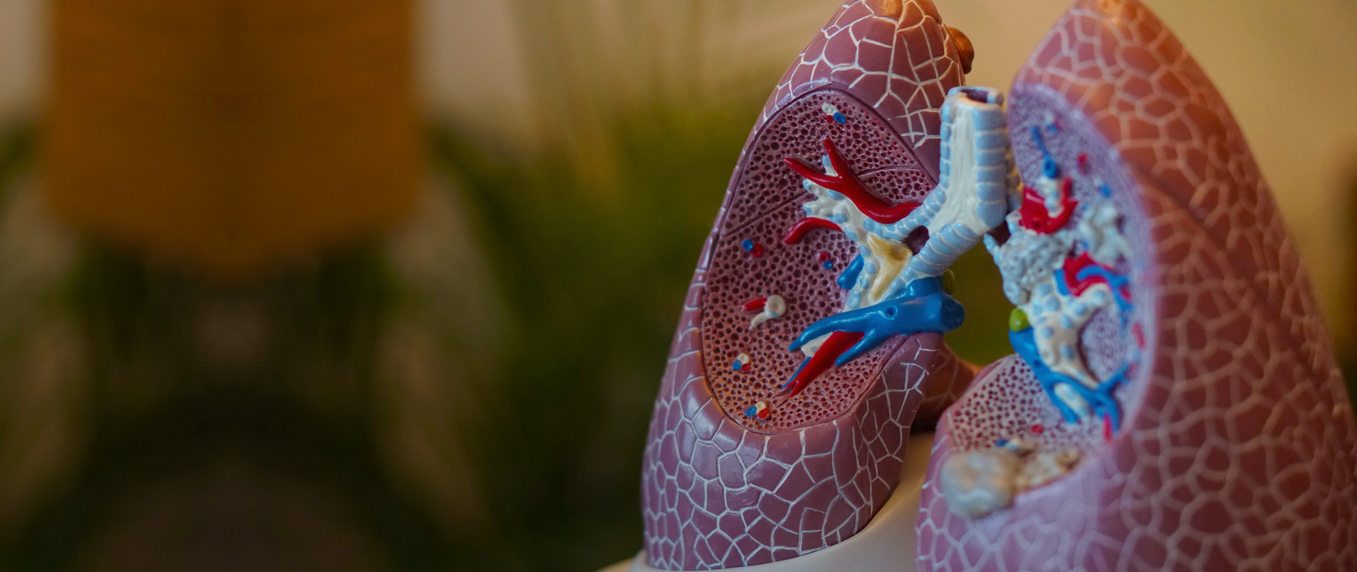 Providing answers, not questions