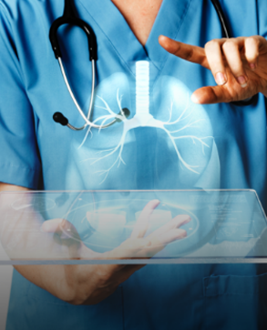 Our Range  of Services